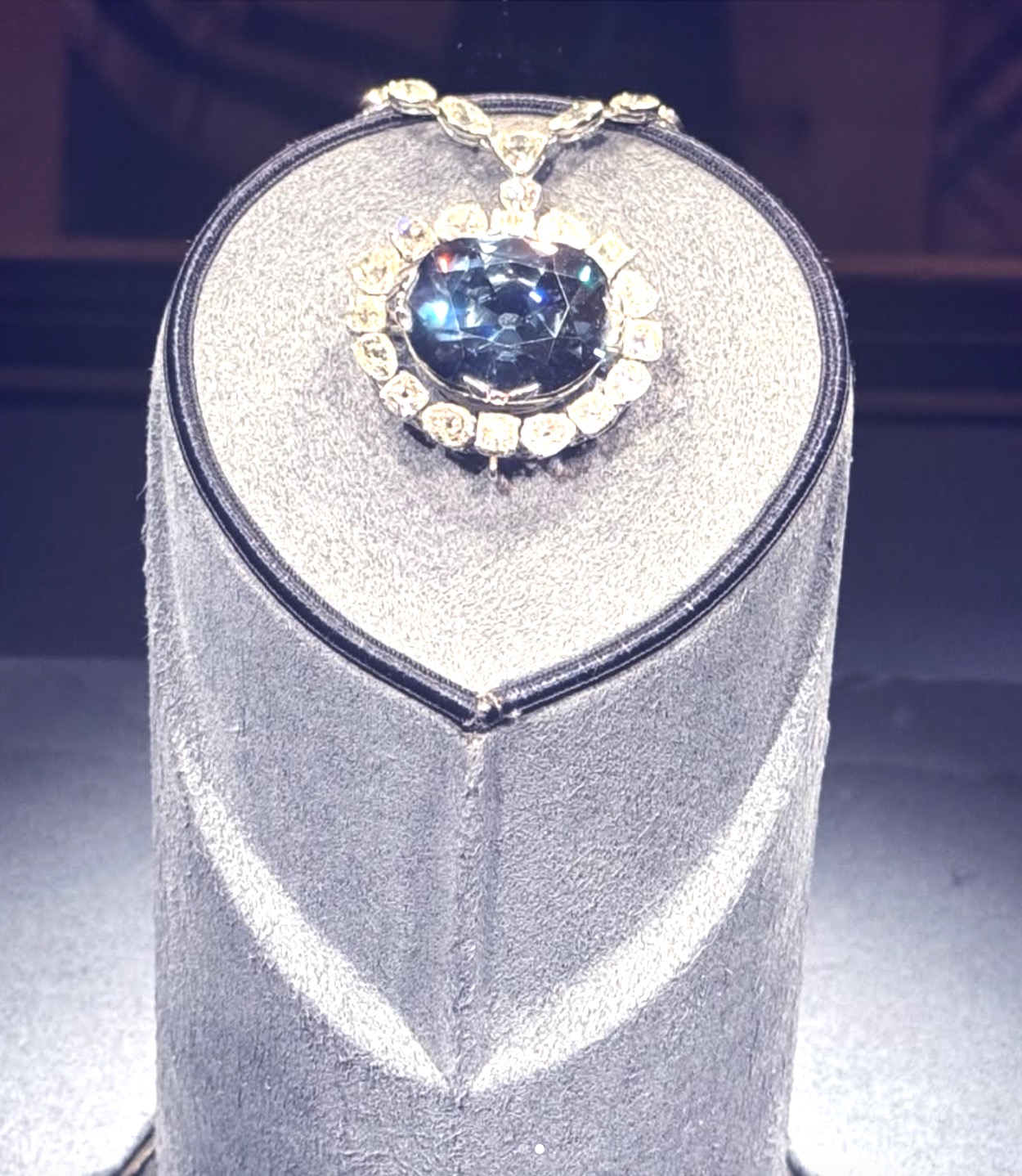 داخل Smithsonian National Museum of Natural History